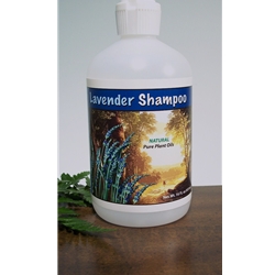 Lavender Shampoo 16oz